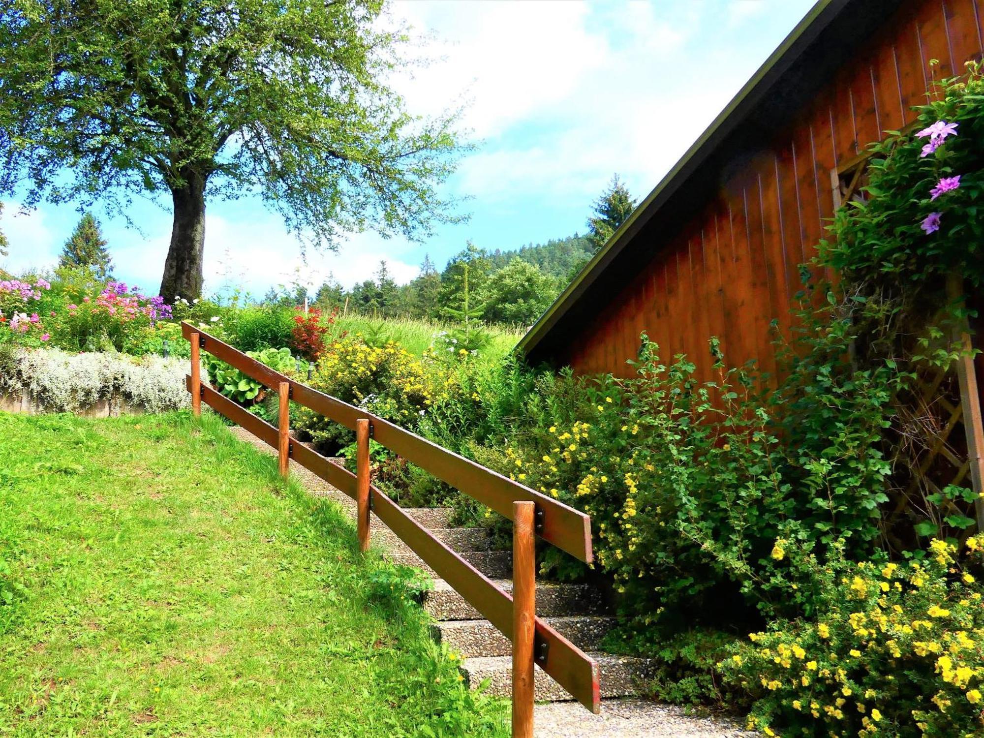 Untermetzgersbauernhof Appartement Alpirsbach Buitenkant foto